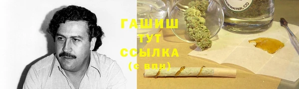 apvp Козельск