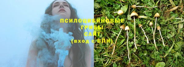 мескалин Козловка