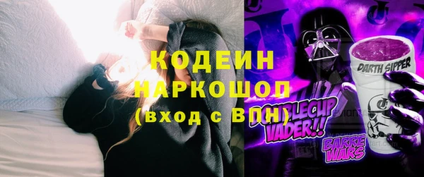 ГАЛЛЮЦИНОГЕННЫЕ ГРИБЫ Корсаков