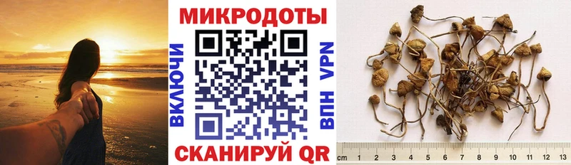 Купить Назрань Галлюциногенные грибы ЛСД